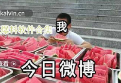 直播爆料吃瓜视频大全下载,吃瓜视频大全，揭秘娱乐圈幕后故事