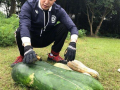 童锦程的吃瓜爆料,娱乐圈幕后真相大揭秘