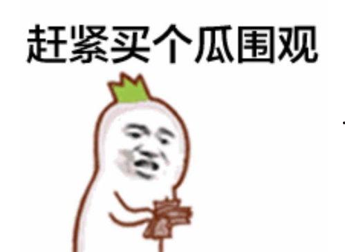 抖音娱乐圈吃瓜群众群聊